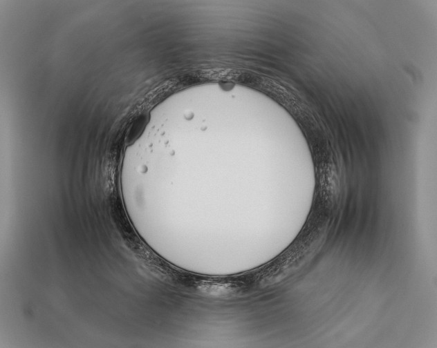 X0000113030602200909241415