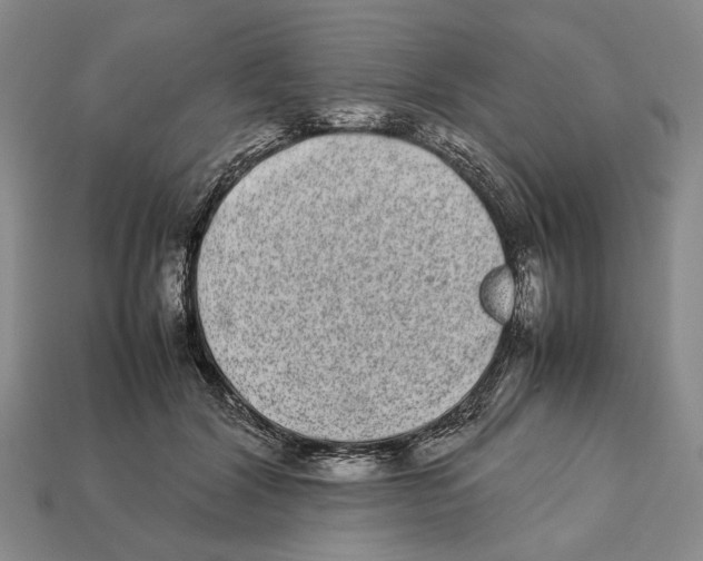 X0000113030604200909241415