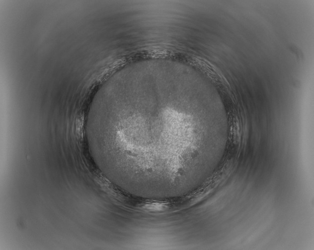 X0000113030610200909241415