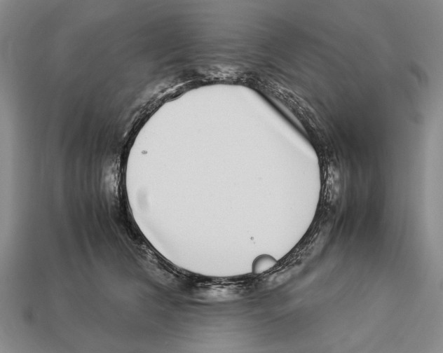 X0000113030612200909241415