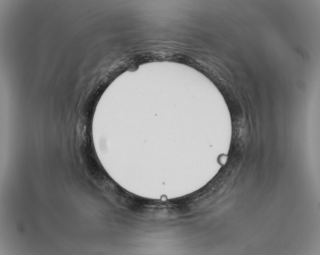 X0000113030615200909241415