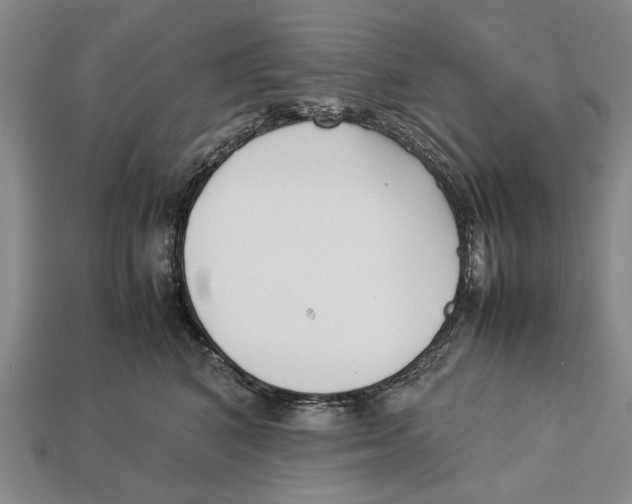 X0000113030616200909241415