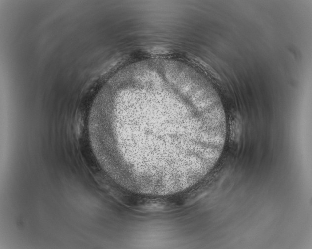 X0000113030618200909241415