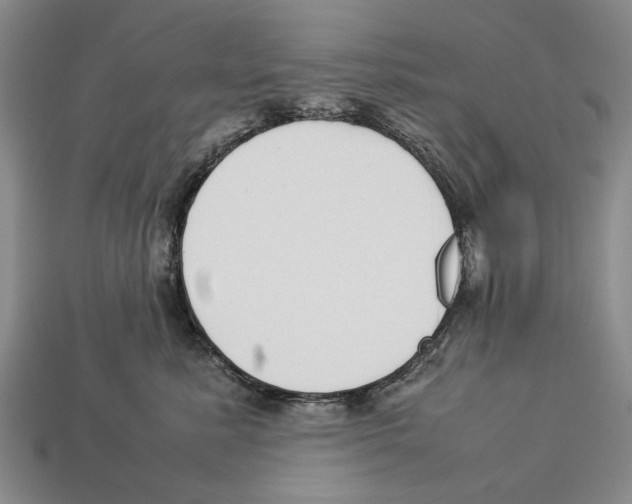 X0000113030619200909241415