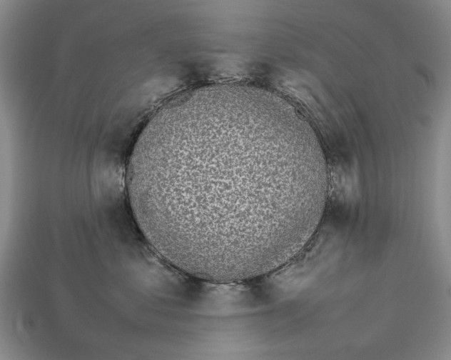 X0000113030621200909241415