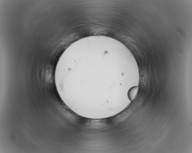 X0000113030622200909241415