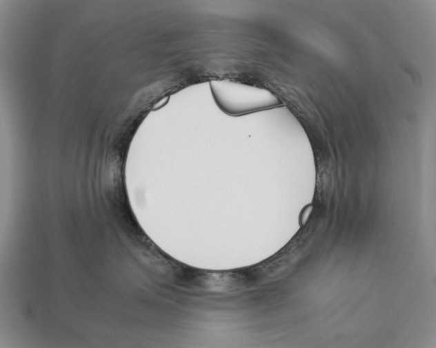 X0000113030623200909241415