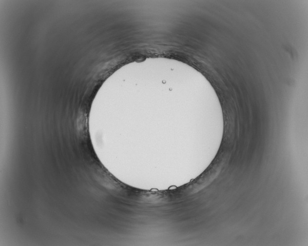 X0000113030624200909241415