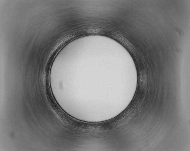 X0000113030626200909241414