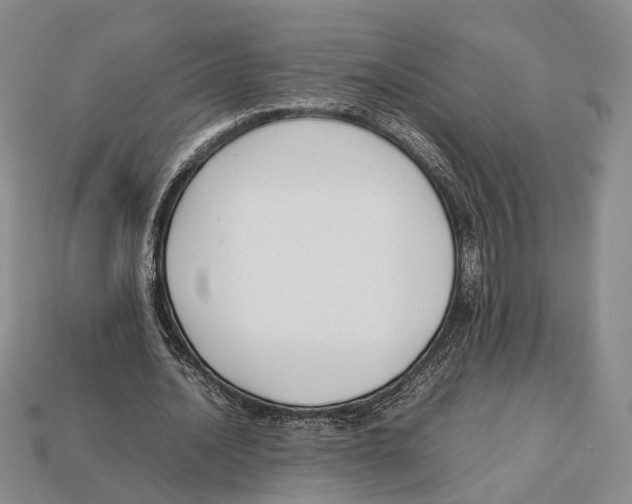 X0000113030628200909241414