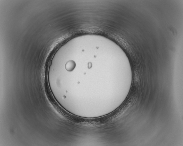 X0000113030630200909241414