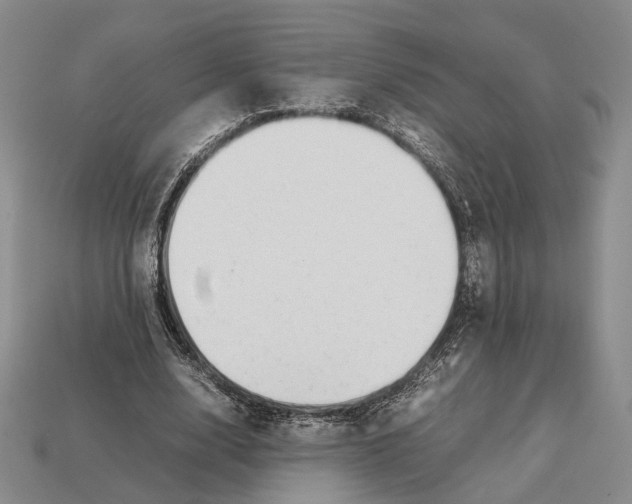 X0000113030632200909241414