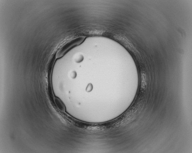 X0000113030634200909241414