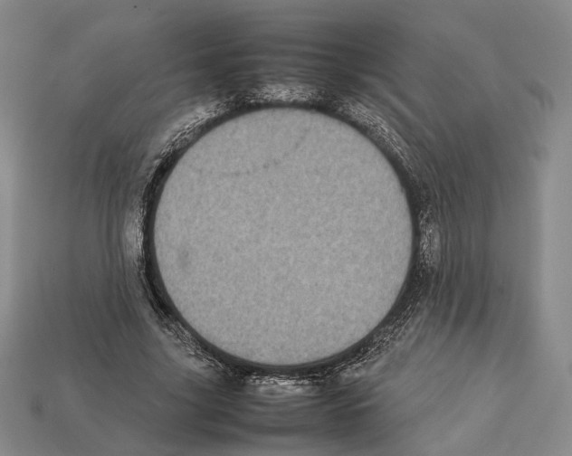 X0000113030635200909241414