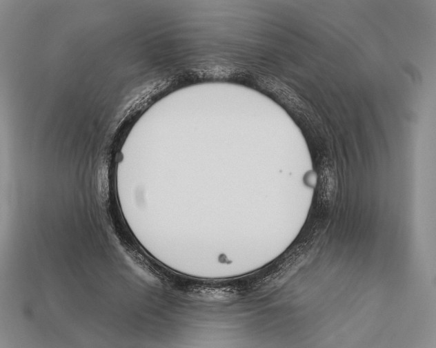 X0000113030638200909241415