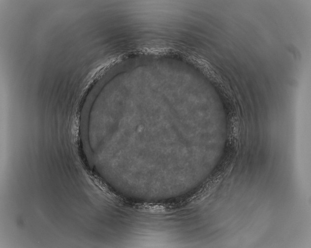 X0000113030640200909241415