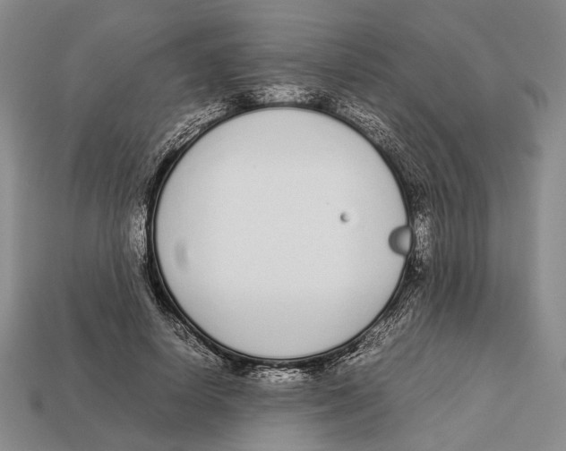 X0000113030642200909241415