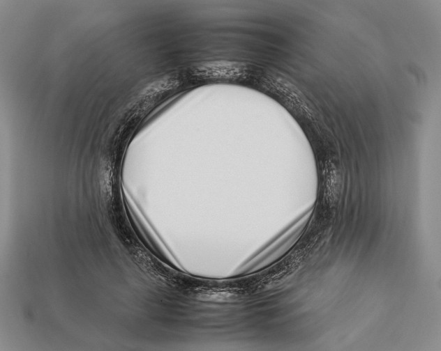 X0000113030643200909241415