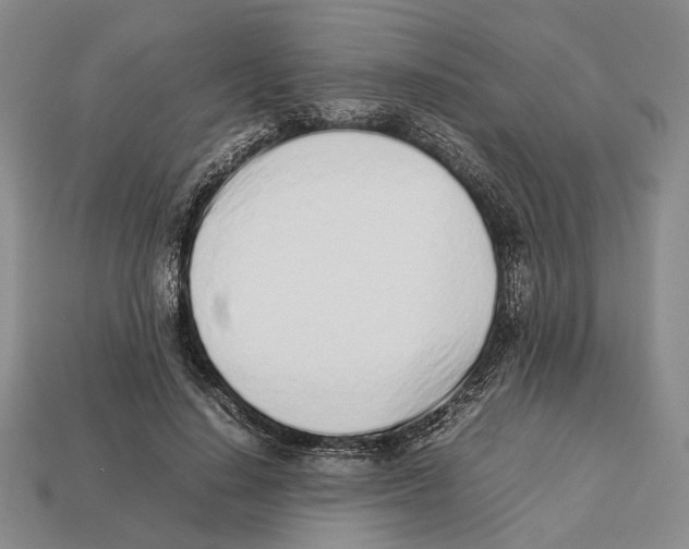 X0000113030644200909241415