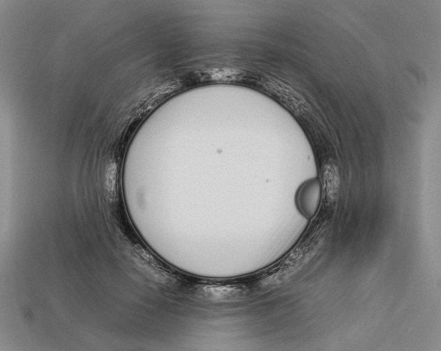 X0000113030650200909241415