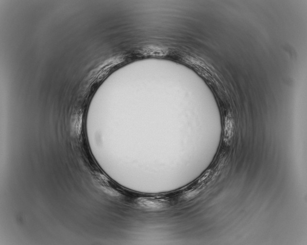 X0000113030652200909241415