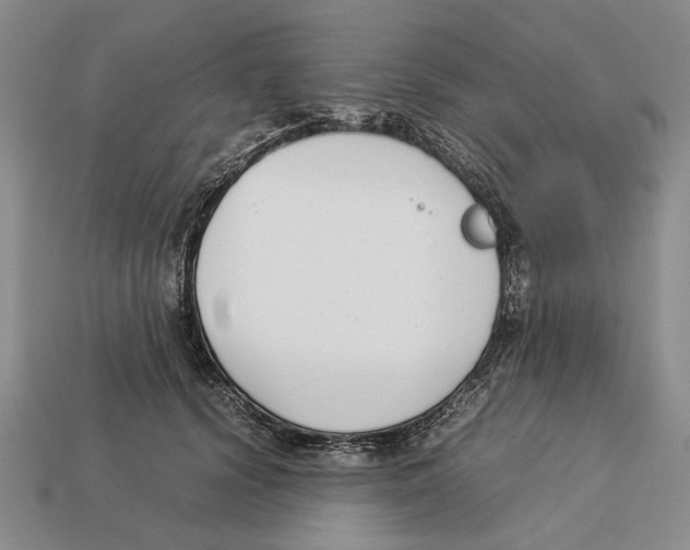 X0000113030656200909241415