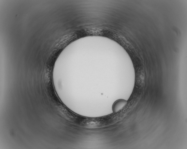 X0000113030658200909241415