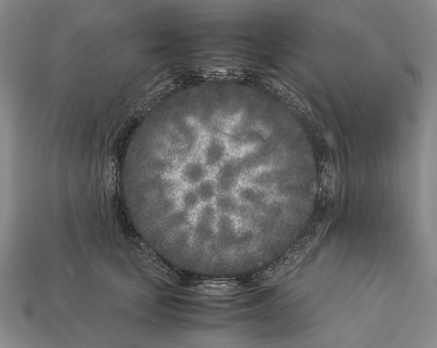 X0000113030659200909241415