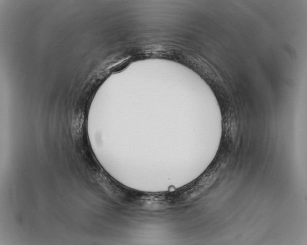 X0000113030660200909241415