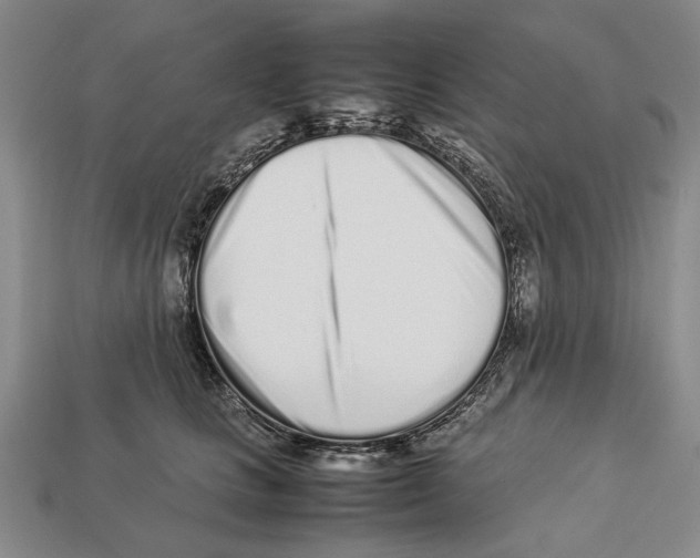 X0000113030661200909241415