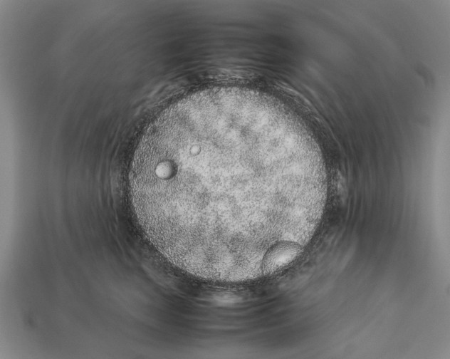 X0000113030663200909241415