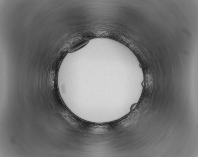 X0000113030664200909241415