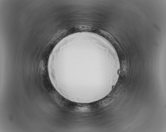 X0000113030667200909241415