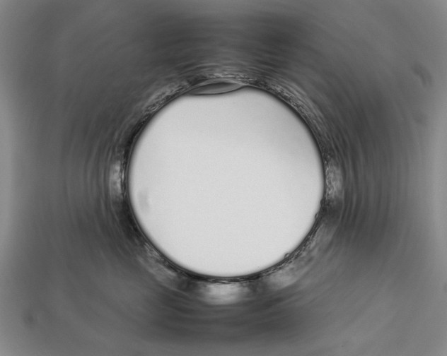 X0000113030669200909241415