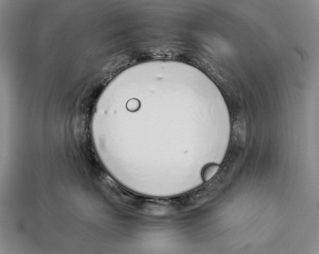 X0000113030671200909241415