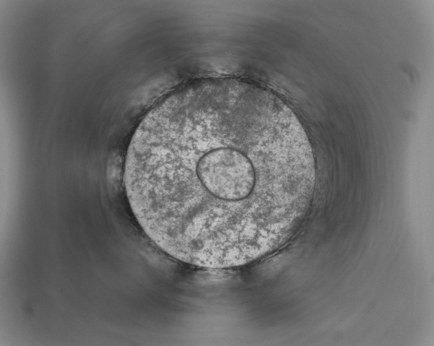 X0000113030672200909241415