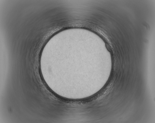 X0000113030673200909241414