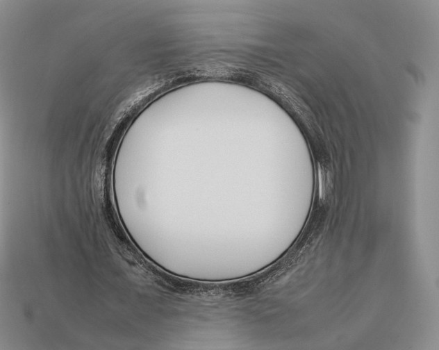 X0000113030675200909241414