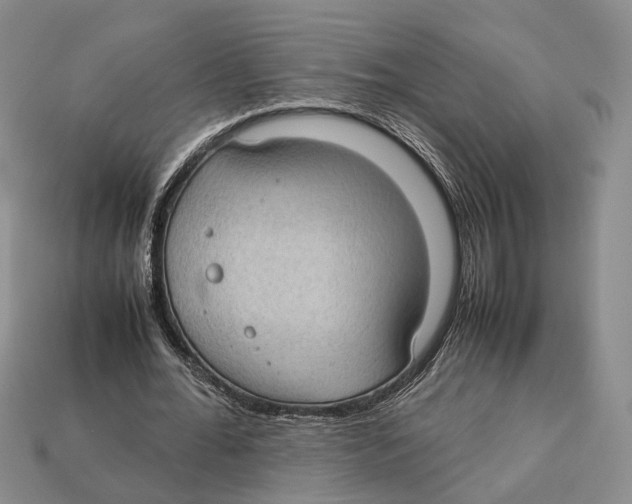 X0000113030676200909241414