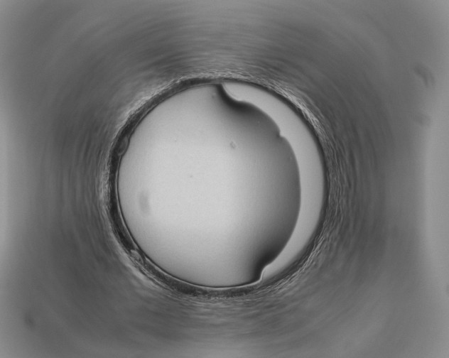 X0000113030677200909241414