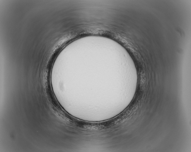 X0000113030679200909241414