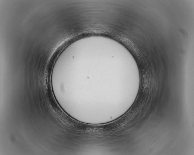 X0000113030680200909241414