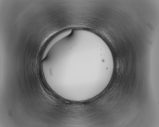 X0000113030684200909241414