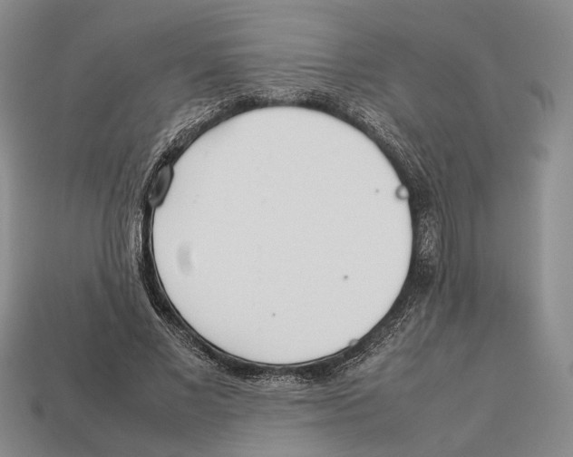 X0000113030685200909241414