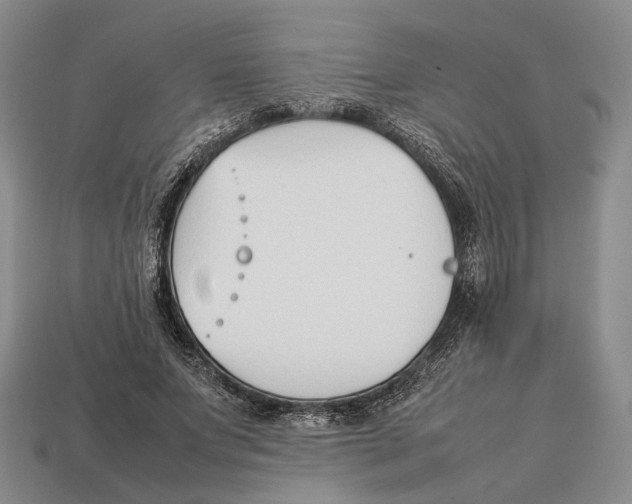 X0000113030687200909241414