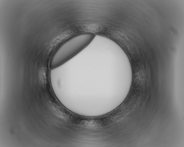 X0000113030688200909241414