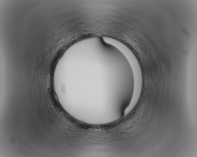 X0000113030689200909241414