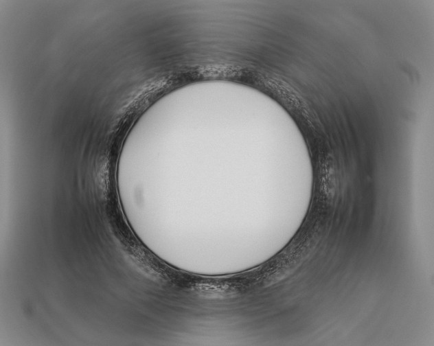 X0000113030690200909241414