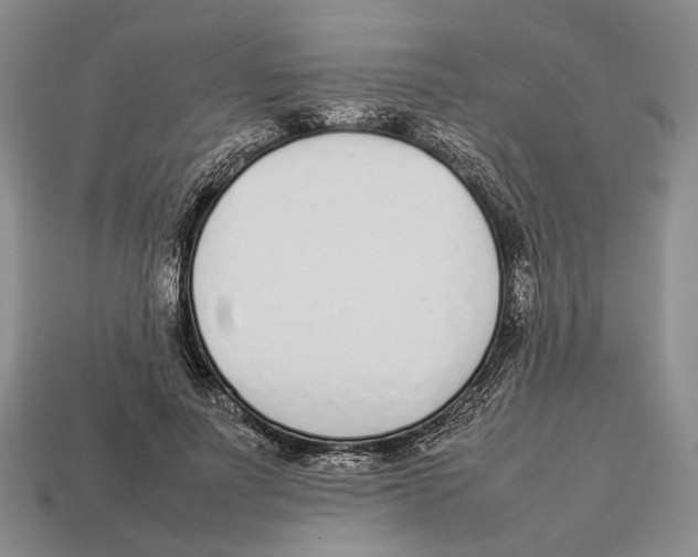 X0000113030691200909241414