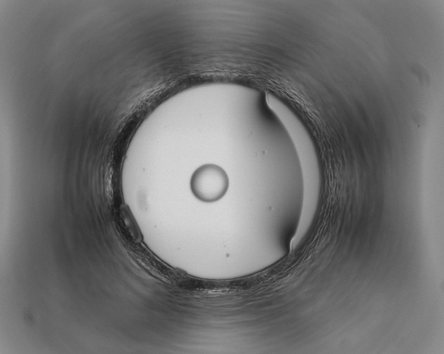 X0000113030692200909241414